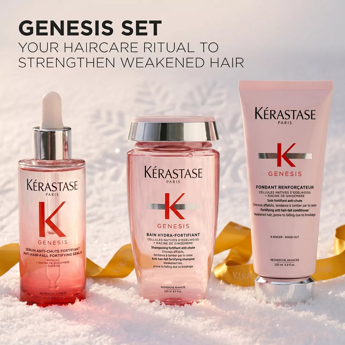 Genesis Holiday Set