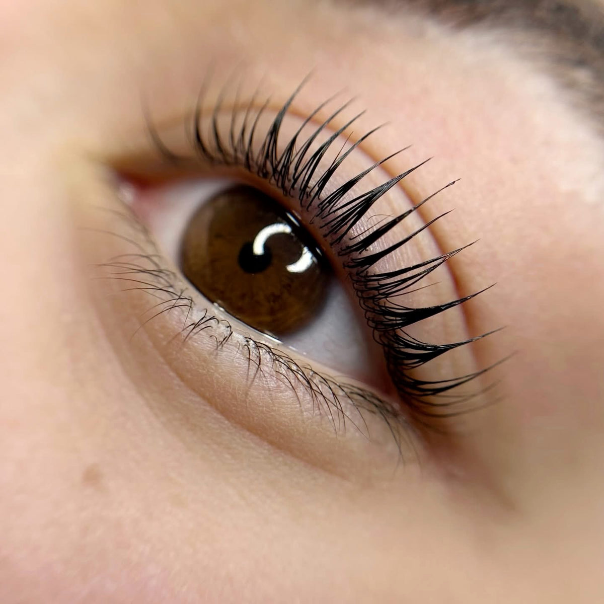 Korean Lash Lift &amp; Tint