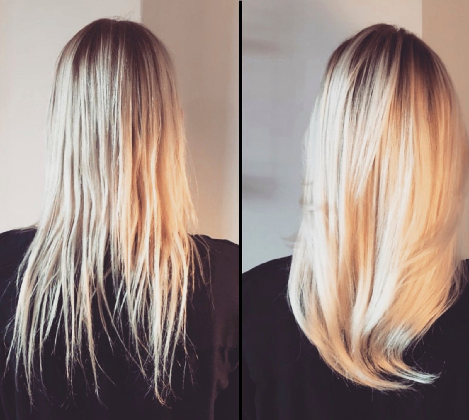 Haute Performance Shampoo