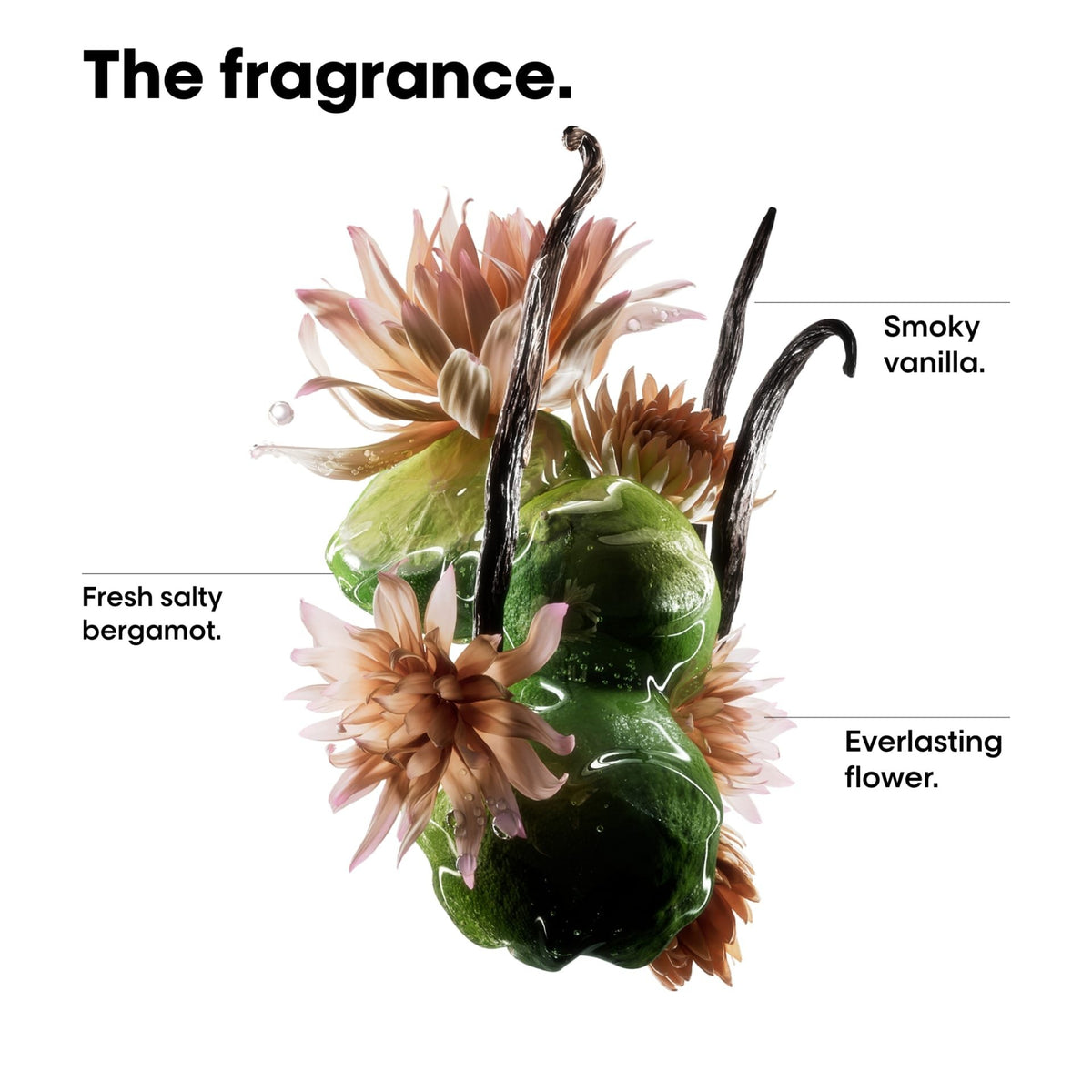 Absolut Repair Molecular Bi-Phase Oil