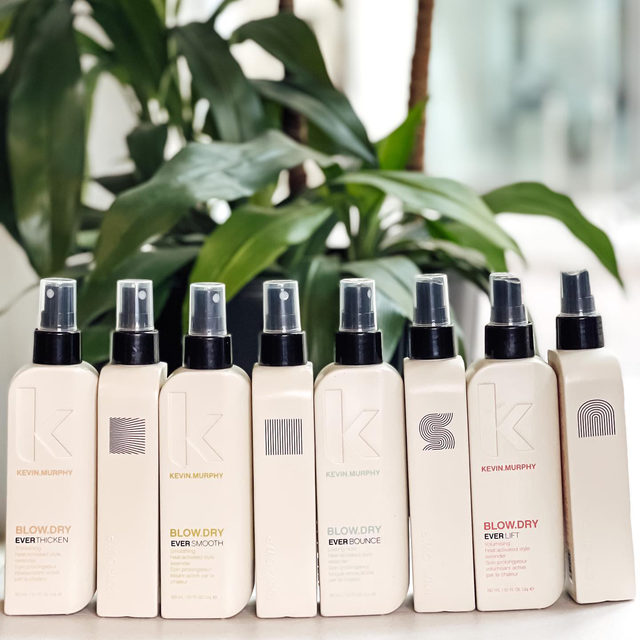 BLOW DRY EVER THICKEN - SALON SOCIETY
