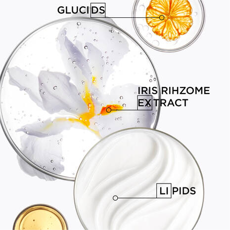 Nutritive Discovery Set
