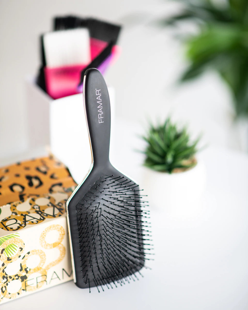 Paddle Brush